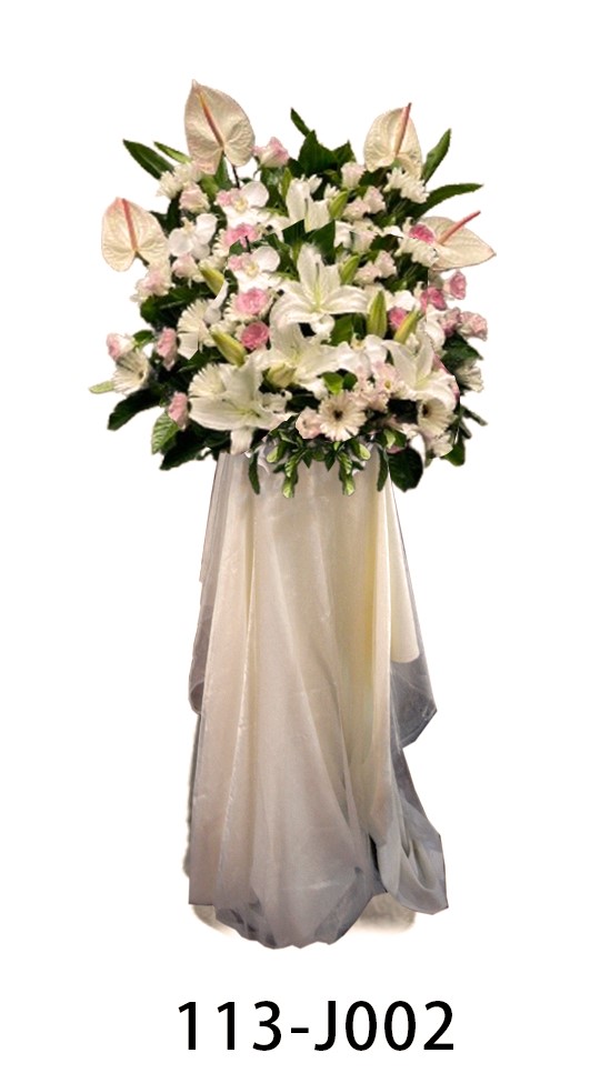 主光潔白110-J002