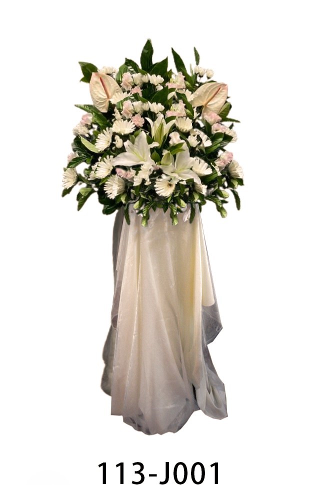 主光照耀110-J001